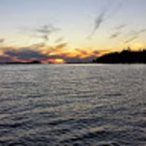 Meet your Posher, Nicki